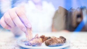 وليمة وعدم وجود ماء.. أمنيات ستتحقق