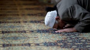 المسلم - المسلمون