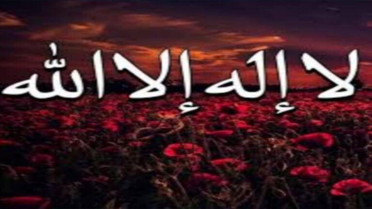 سنن وأذكار لا الله الا الله