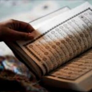 الماهر بالقرآن.. بين رفعة الحفظ وسمو المعنى