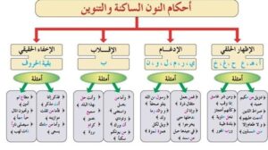 أحكام النون الساكنة والتنوين.. أمانة ضبط النطق القرآني
