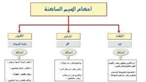 أحكام الميم الساكنة.. ضوابط النطق ومواطن الإتقان