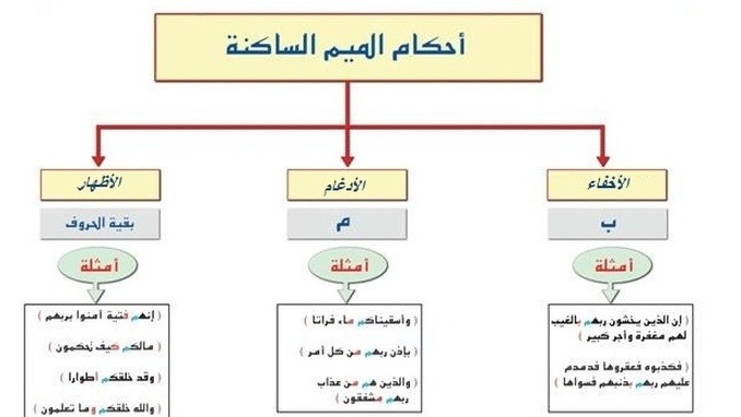 أحكام الميم الساكنة.. ضوابط النطق ومواطن الإتقان