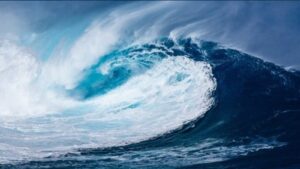 البحر في المنام.. بين سكينة الروح ومواجع المجهول