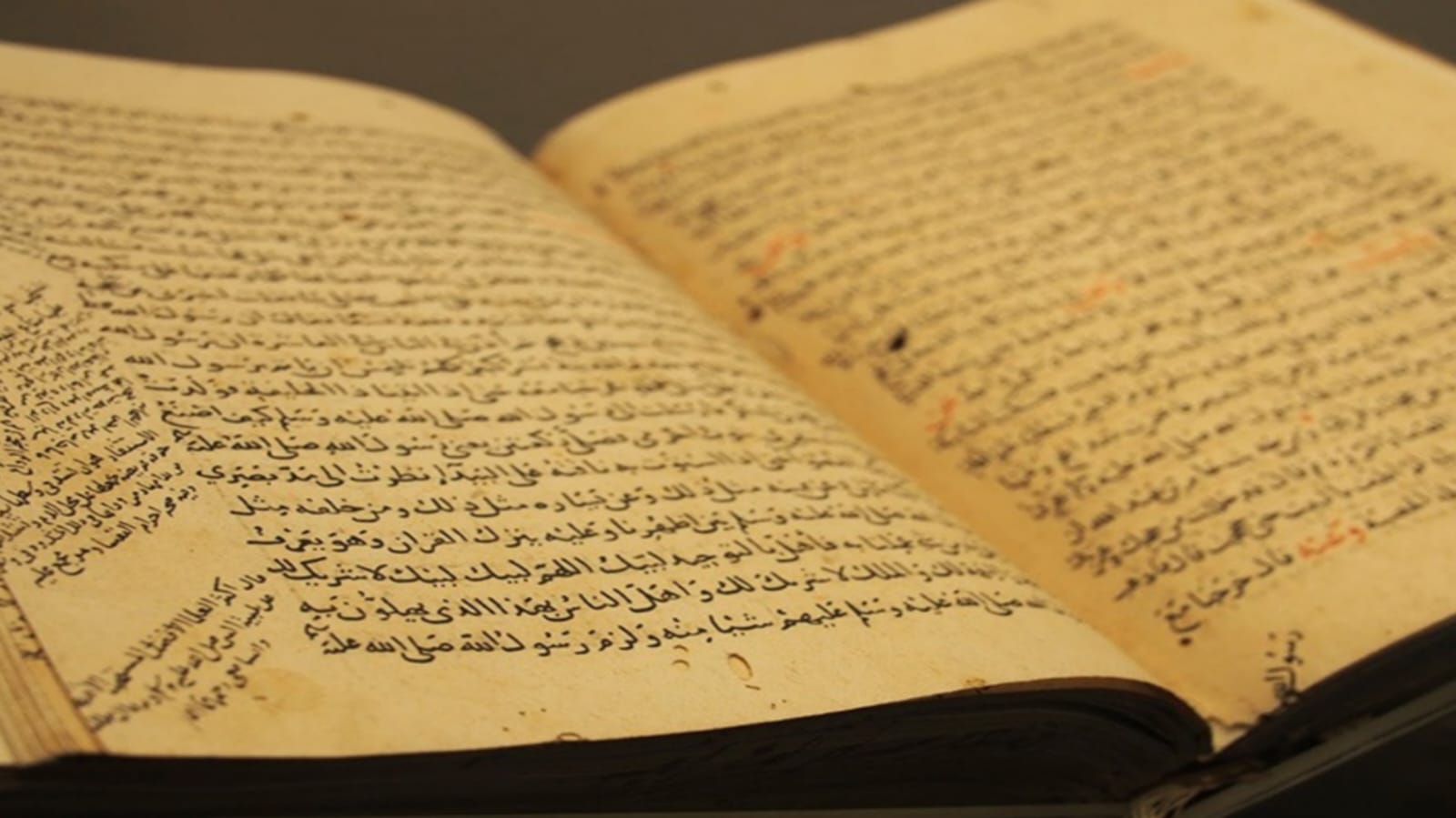 الكلمة الطيبة.. ميراث الأنبياء، وزاد المصلحين