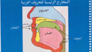 مخارج الحروف: بوابة المسلم لإتقان التلاوة