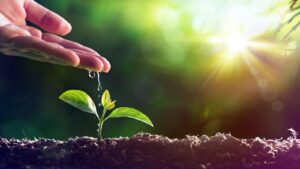 الصدقة عن الوالدين بعد وفاتهما