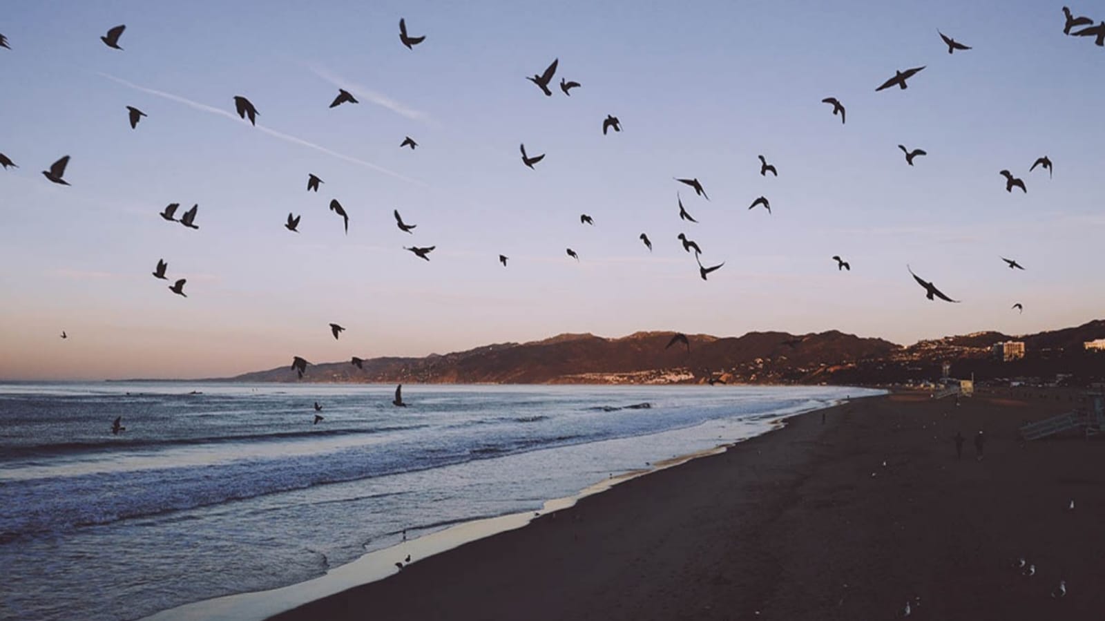 جوانب إعجازية في قصة خلق المسيح عليه السلام