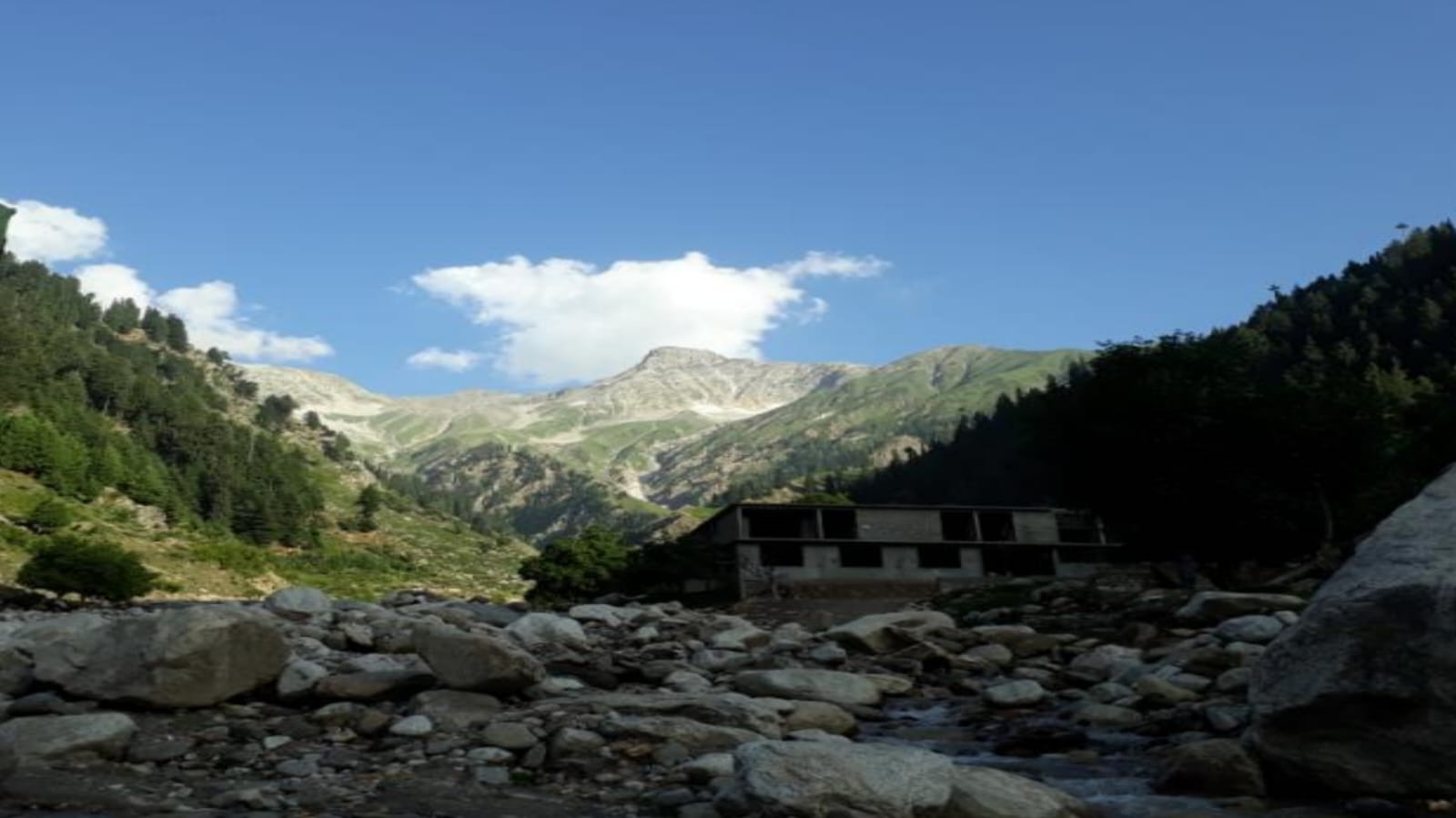 حمّاد بن أبي سلمة البصري.. العالم الرباني الشامل ﻿