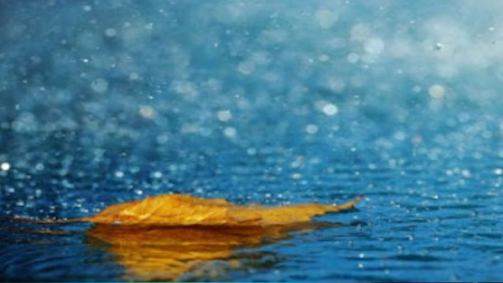 "الودق".. وصف دقيق للمطر الغزير