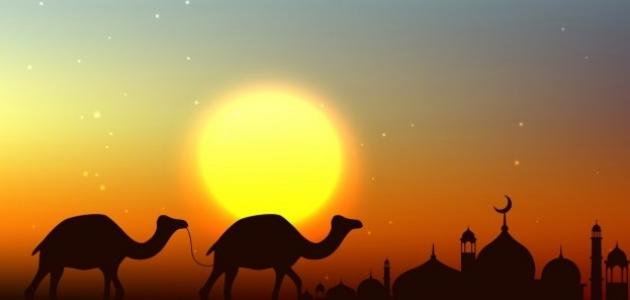 فلسفة التوكل في أحداث الهجرة