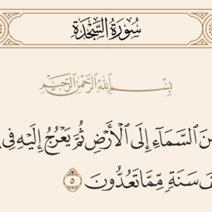 التدبير الإلهي… من تكوين الجنين إلى مصائر البشر