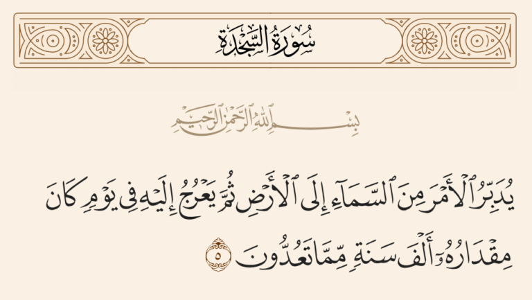 التدبير الإلهي… من تكوين الجنين إلى مصائر البشر