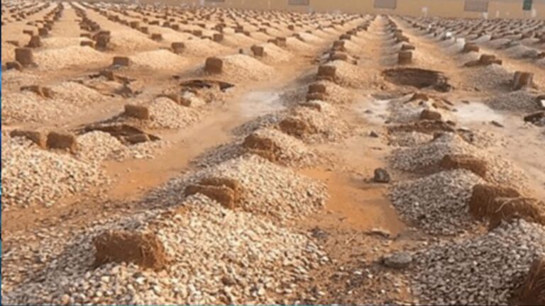 عذاب القبر ونعيمه.. جزء من الإيمان باليوم الآخر