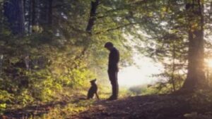 مثل القرية الآمنة المطمئنة: عبرة للأمم والمجتمعات