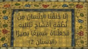 "من نطفة أمشاج".. حكمة الخلق الإلهي في تنوع صفات الإنسان