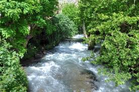 الأعيان الطاهرة.. نظرة الإسلام إلى الأشياء في أصل خلقها