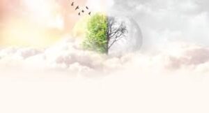 آليات مواجهة التغريب وبناء الوعي الحضاري