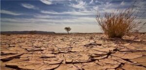 عام الرمادة.. مجاعة قاسية وتصرف حكيم