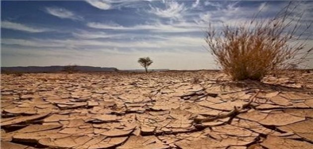 عام الرمادة.. مجاعة قاسية وتصرف حكيم