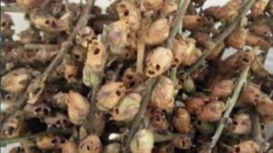 الغسلين.. عذاب الآثمين في وعيد القرآن