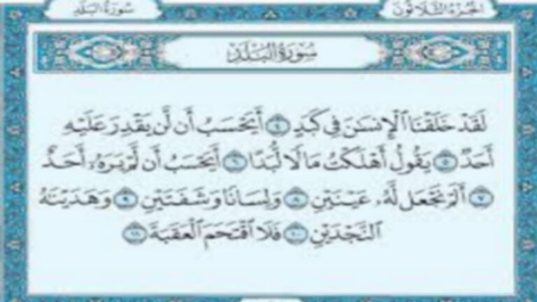 "كَبَد".. معانٍ كونية وإنسانية متعددة