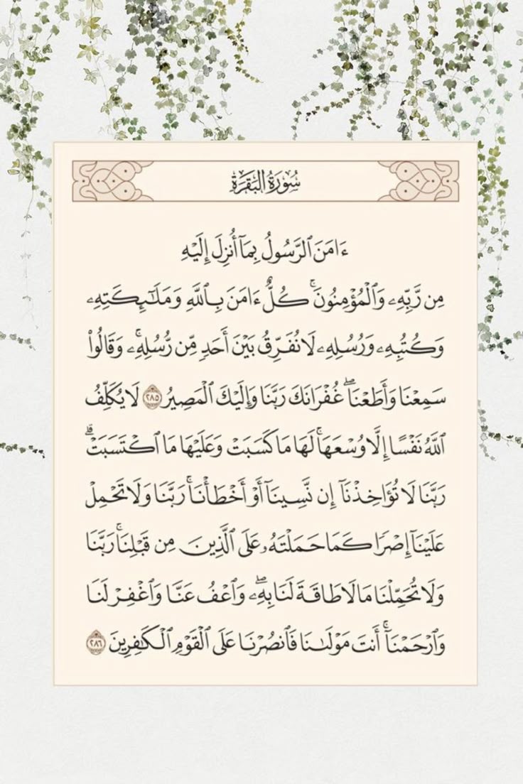 خواتيم سورة البقرة.. عقيدة وحفظ وكفاية