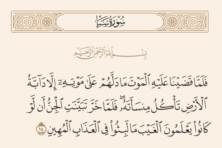 منسأته.. عصا الملك وعبرة الموت الخفي