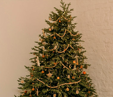 تهنئة غير المسلمين بأعيادهم: قراءة فقهية معاصرة في تعدد الآراء والمقاصد