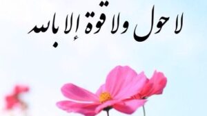 C9owCiWXsAAOr1t Cropped