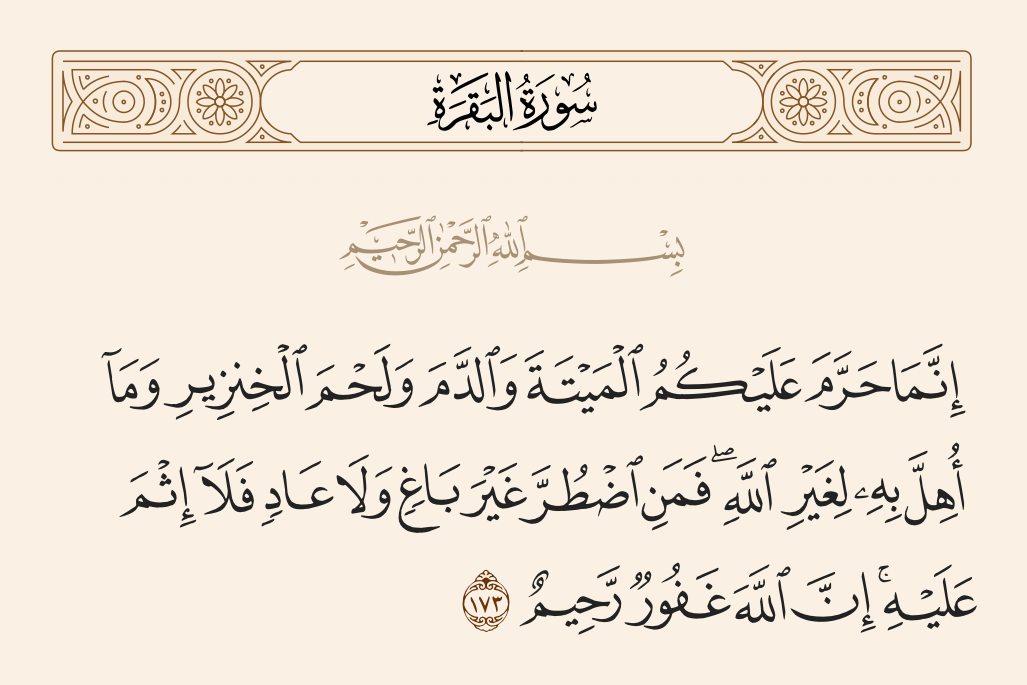 الميتة.. حين يصبح التحريم رسالة مقاصدية