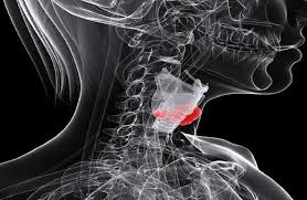 ابتكار مركبات نحاسية فعّالة ضد سرطان الحنجرة