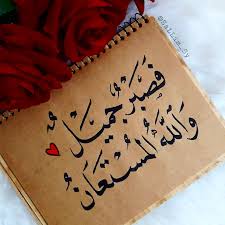 الصبر الجميل.. زادُ القلب وسلاح الداعية الحكيم