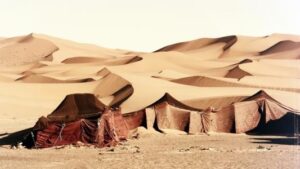 الطفولة اللطيمة: بين بركات البادية ولوعة الفقد