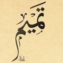 تميم.. اسم ذو دلالة قوية وجذور تاريخية