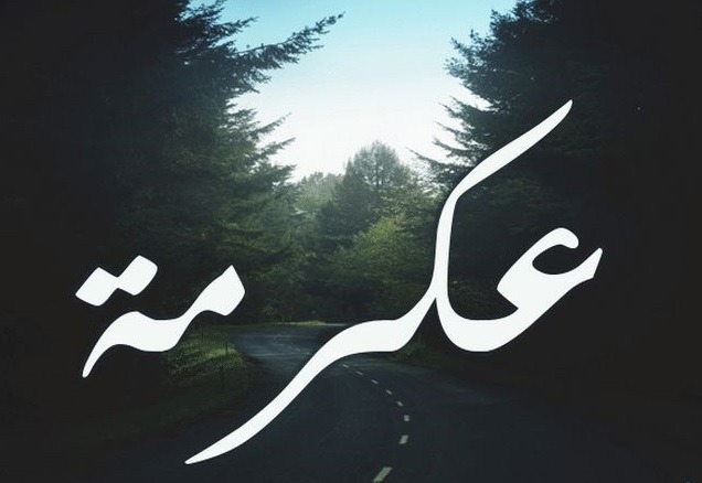 «عكرمة مولى ابن عباس»..