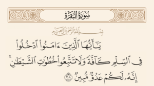 «ادخلوا في السلم كافة»