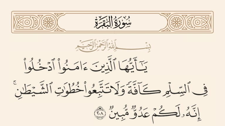 «ادخلوا في السلم كافة»