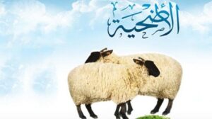 أحكام الأضاحي.. رسالة علمية لأبرز شعائر الإسلام