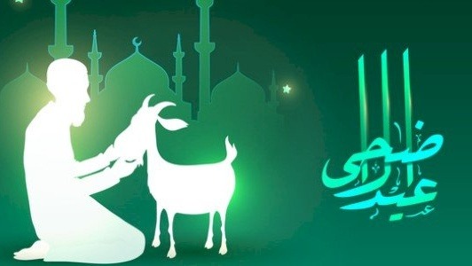 عيد الأضحى.. فرحة الإيمان والتضحية والطاعة