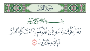 حين يجأر القلب.. آية تُعيد ضبط البوصلة