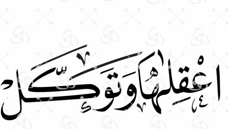 توكلُ تظفر بأرقى أشكال الفعل
