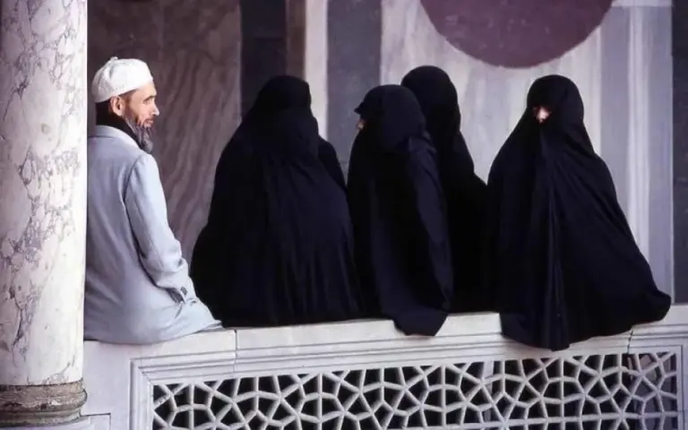 شبهة تعدد الزوجات..